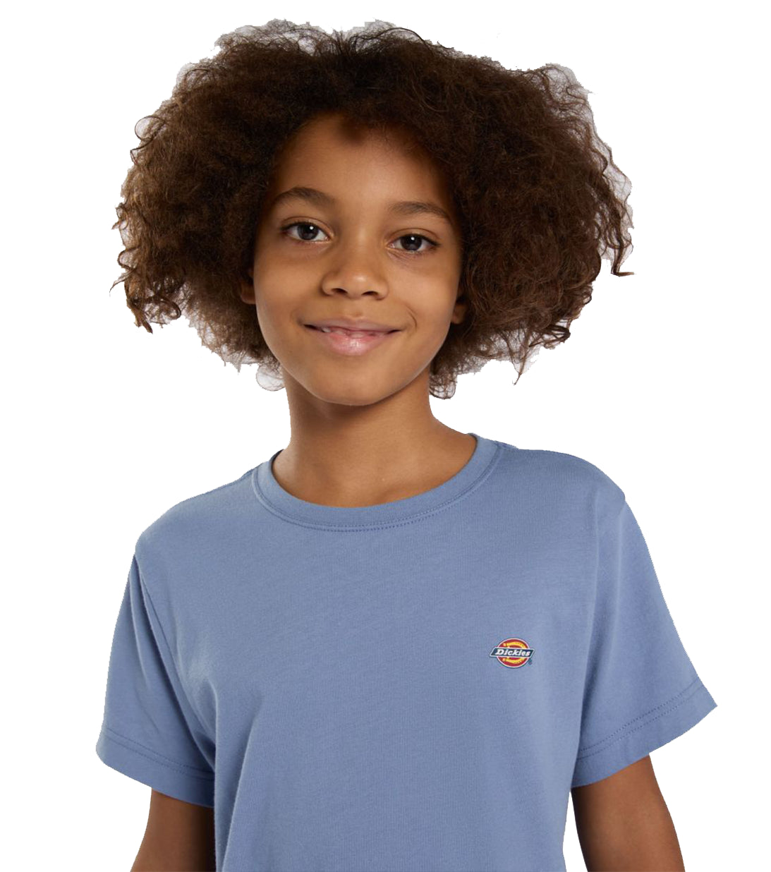 tshirt dickies blu cadetto