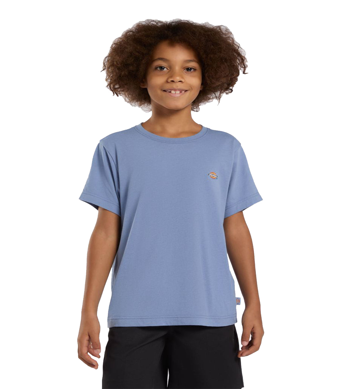 tshirt dickies blu cadetto