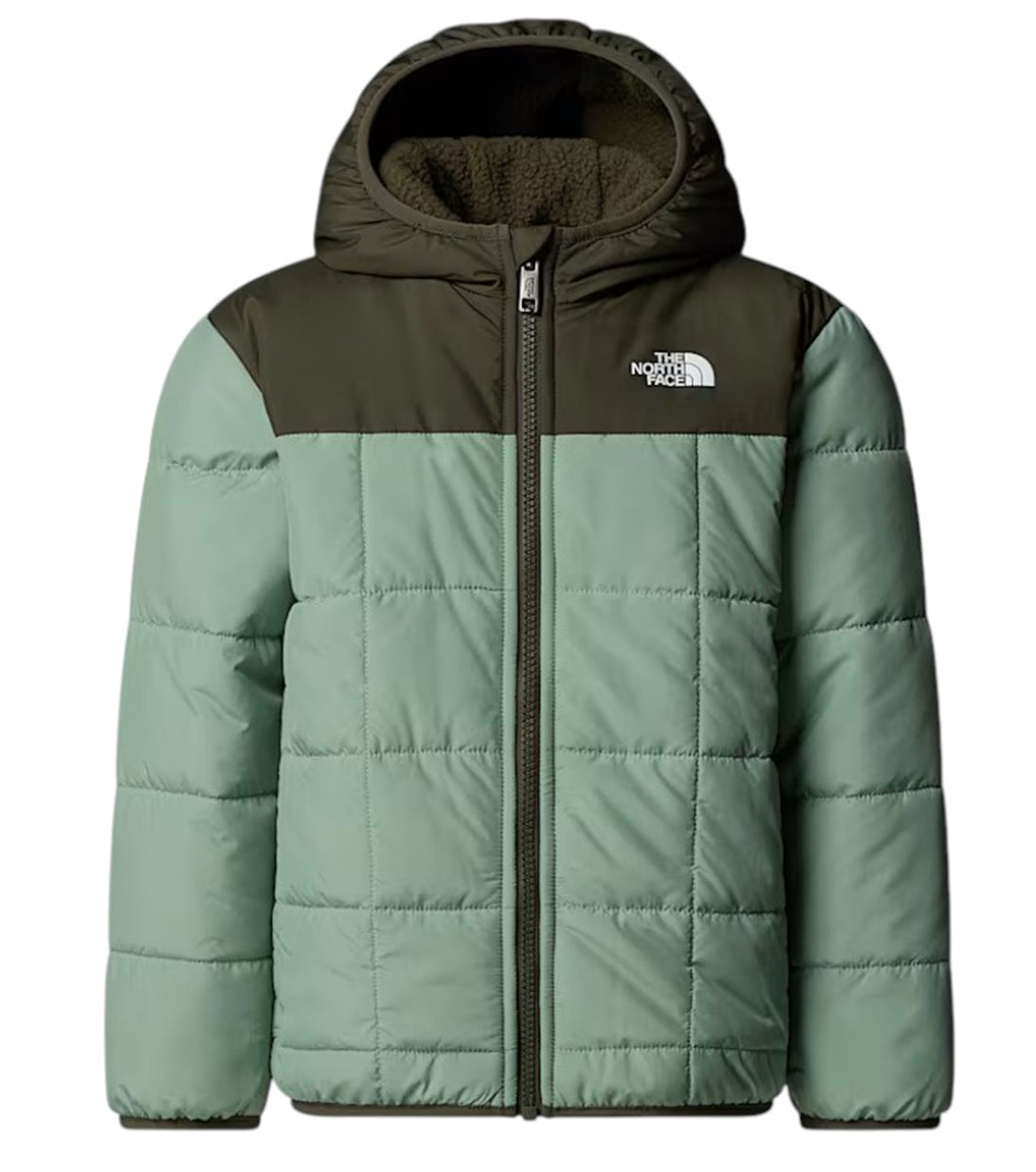 reversibile the north face