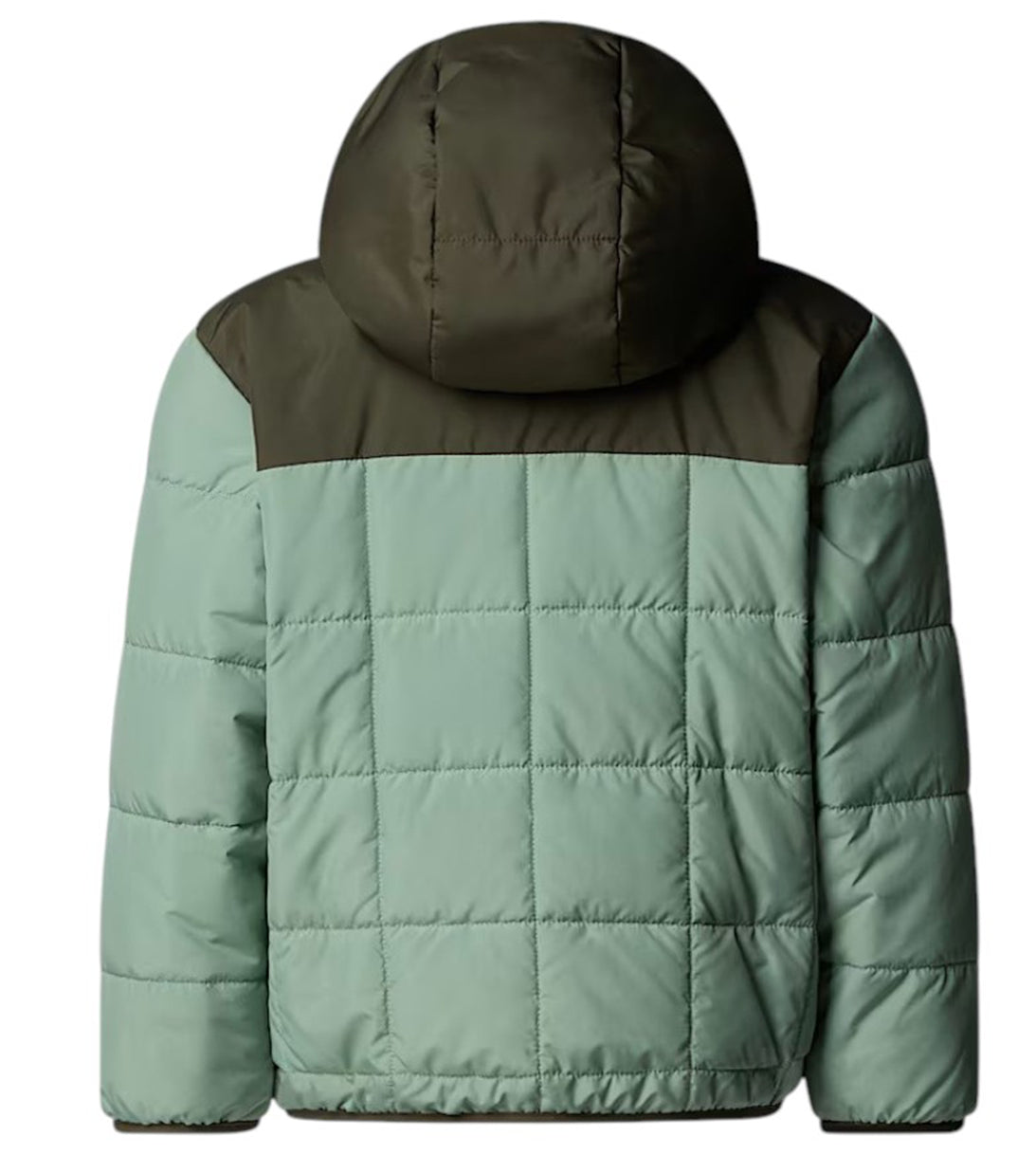 reversibile the north face
