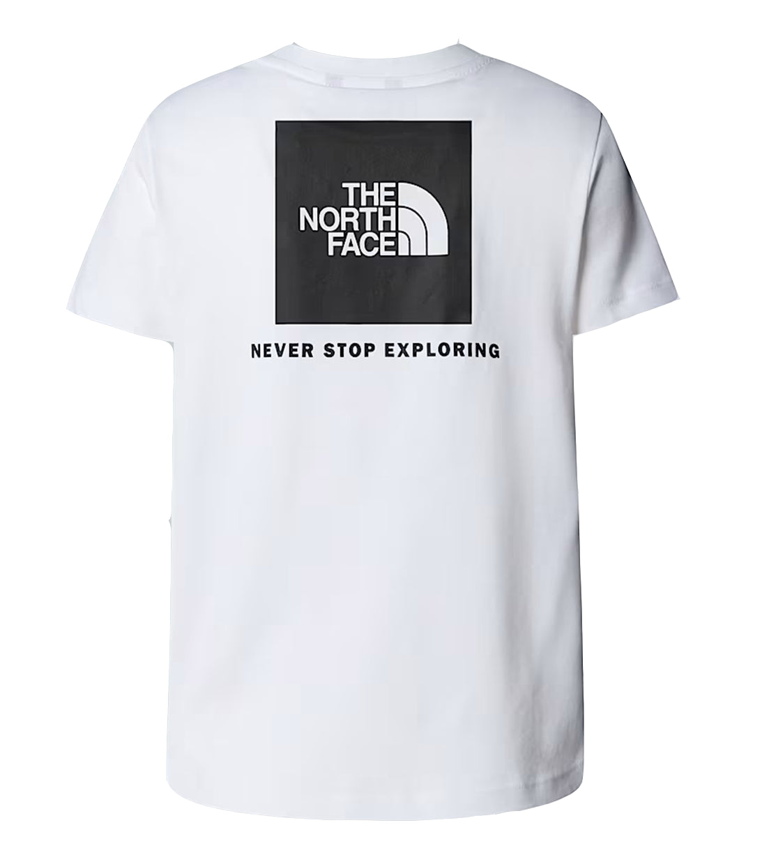 THE NORTH FACE - T-shirt NSE Box