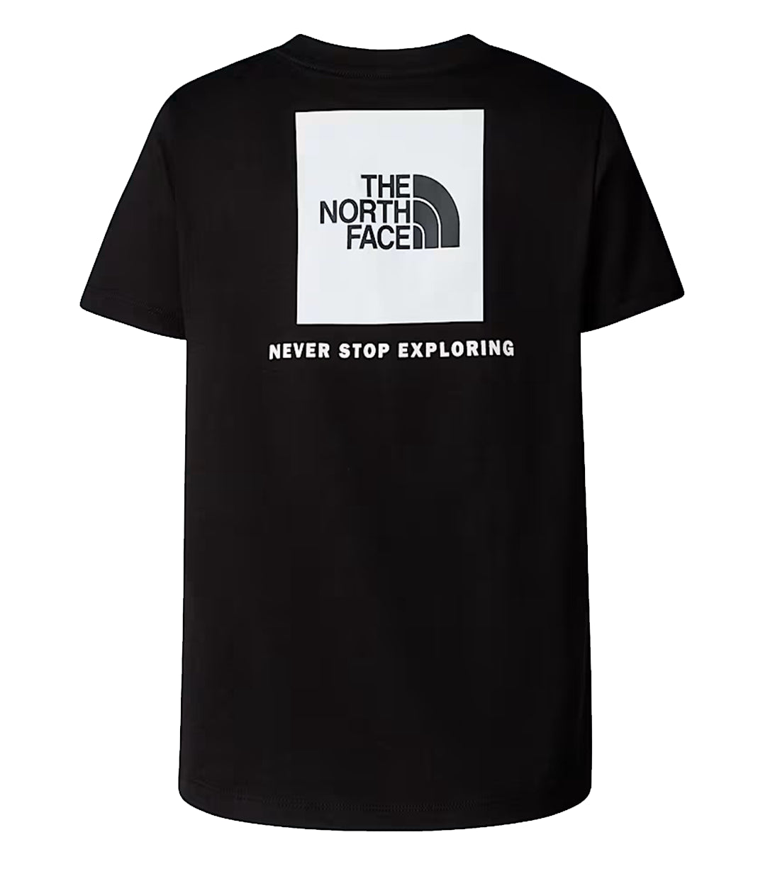 THE NORTH FACE - T-shirt NSE Box