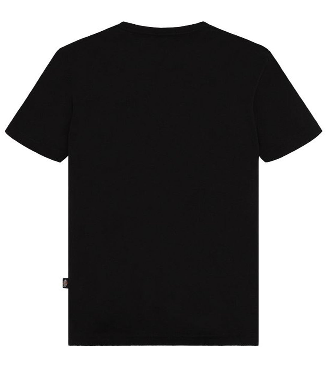 T-SHIRT LOGO BASIC DICKIES