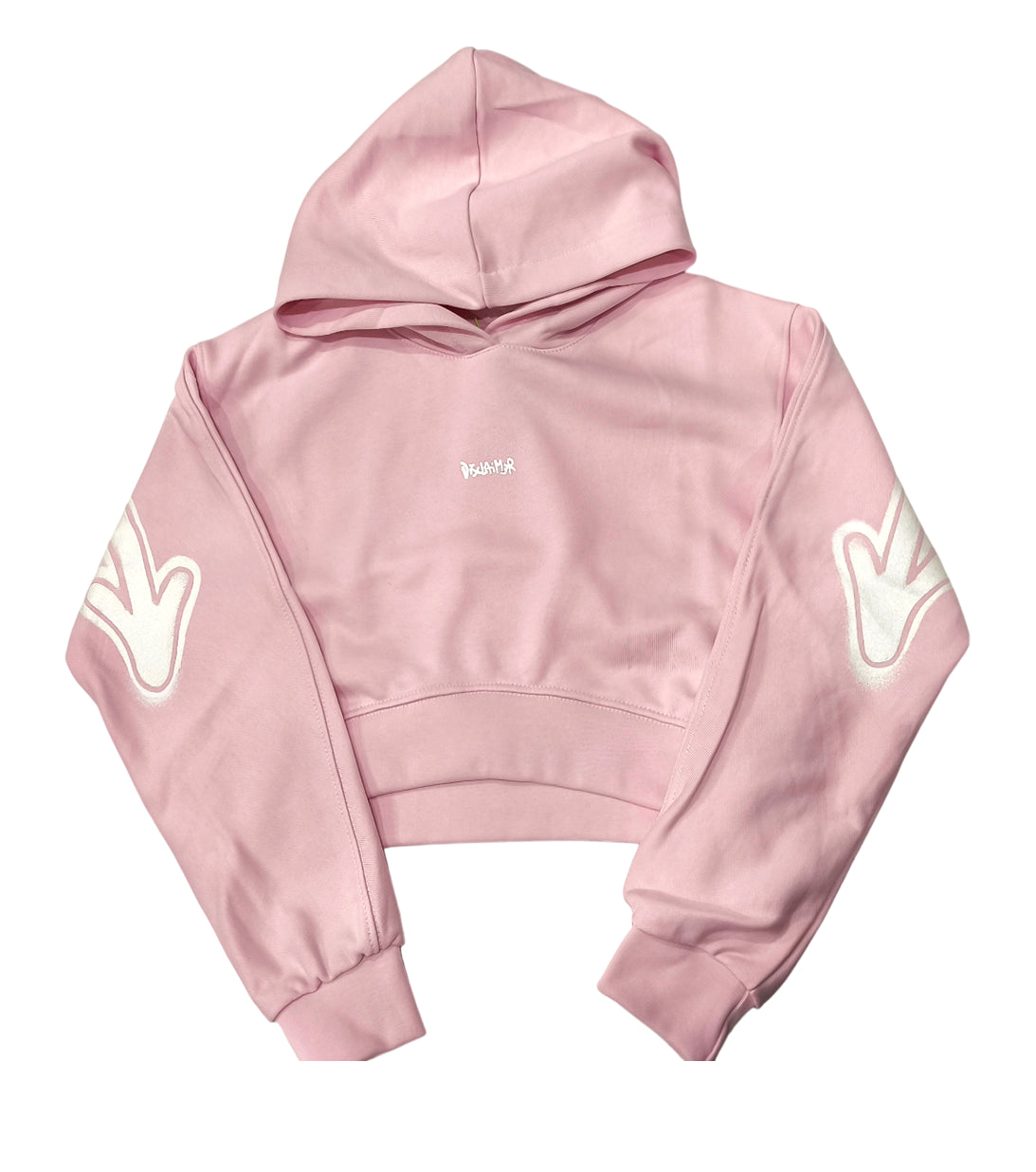 DISCLAIMER - Felpa Crop Cappuccio