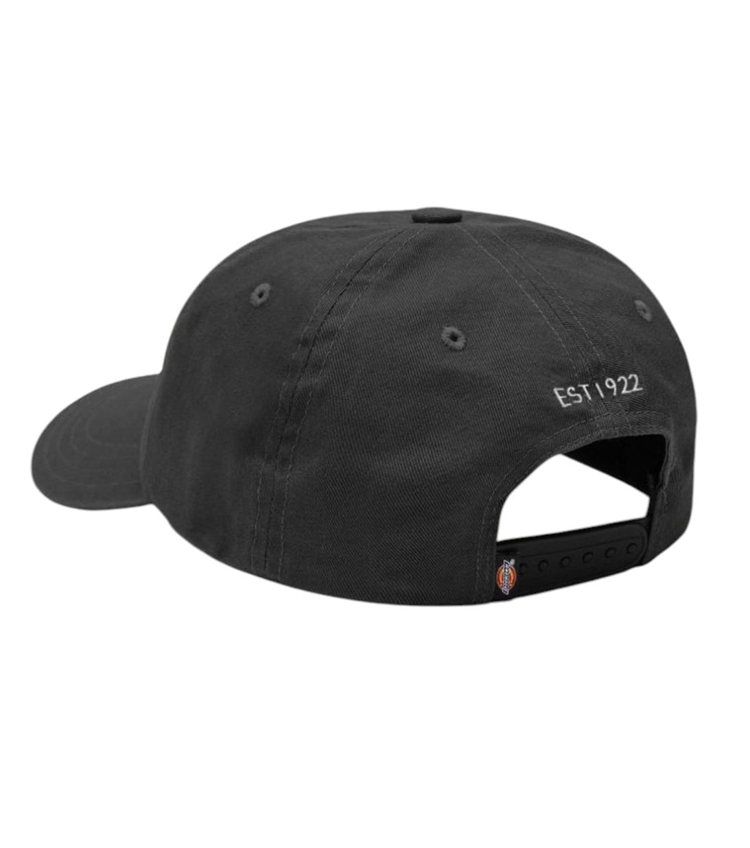 DICKIES - Cappellino Da Baseball Hardwick
