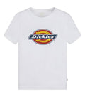 DICKIES - T-shirt Logo