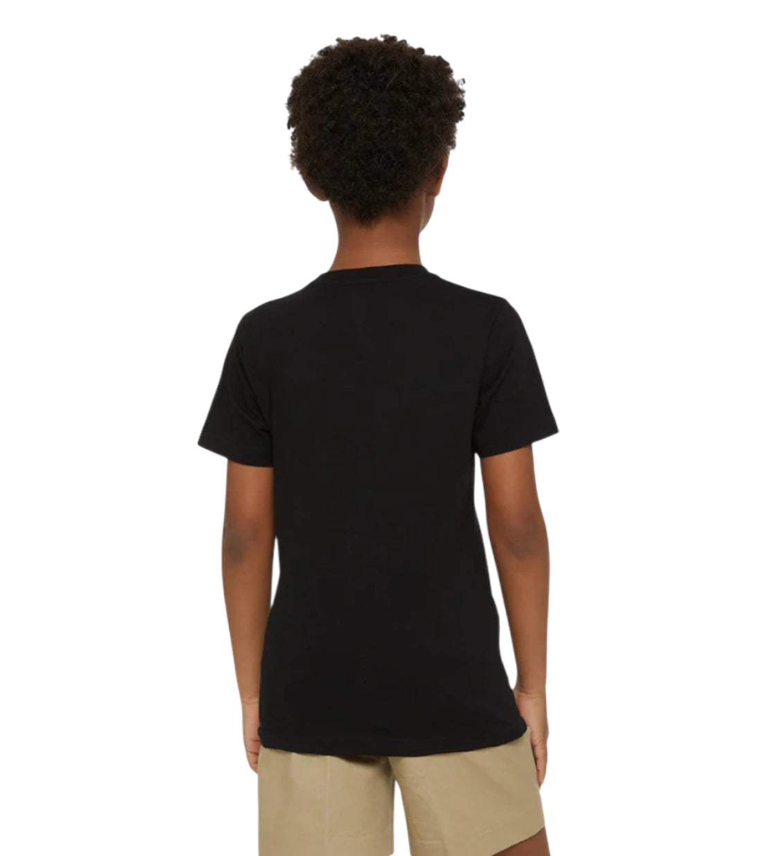 DICKIES - T-shirt Logo Mapleton