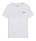 T-SHIRT DICKIES BASIC