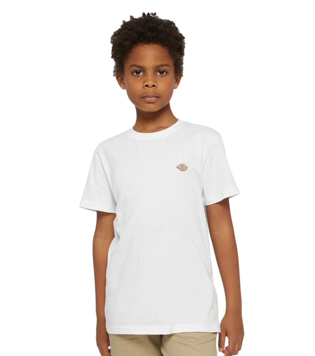 DICKIES - T-shirt Logo Mapleton