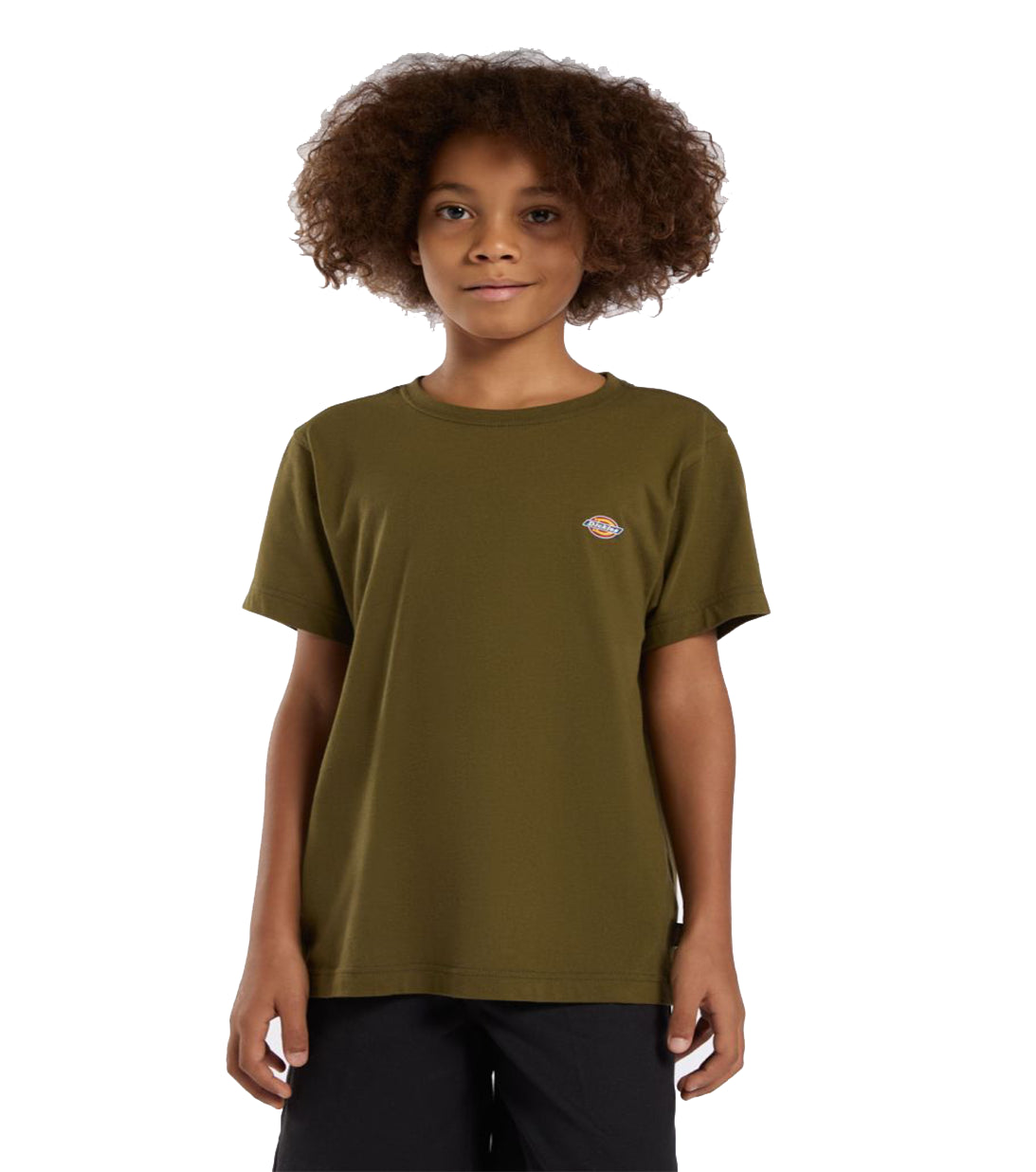 t shirt logo mini dickies