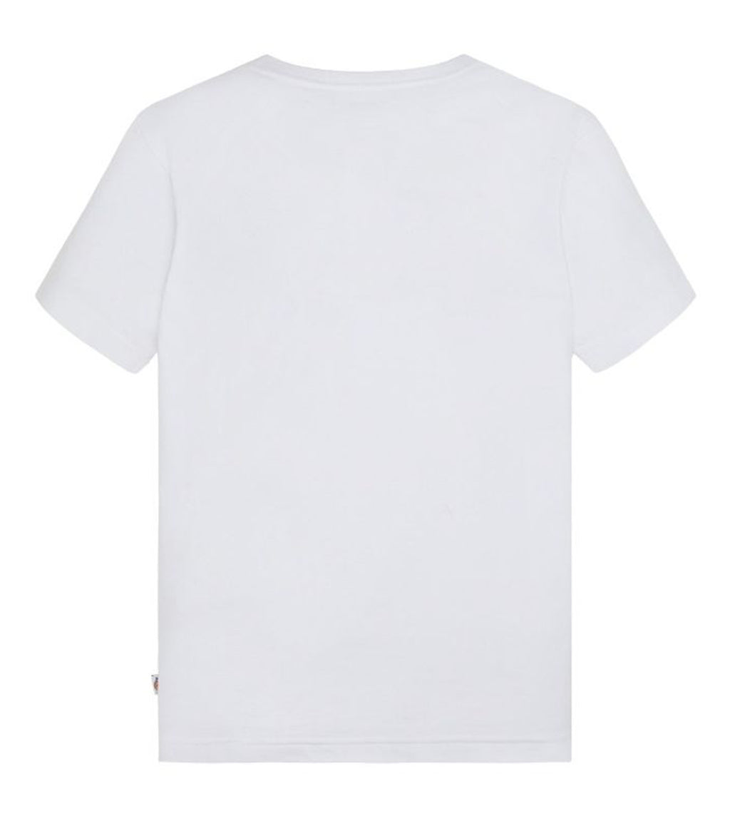 T-SHIRT DICKIES BASIC