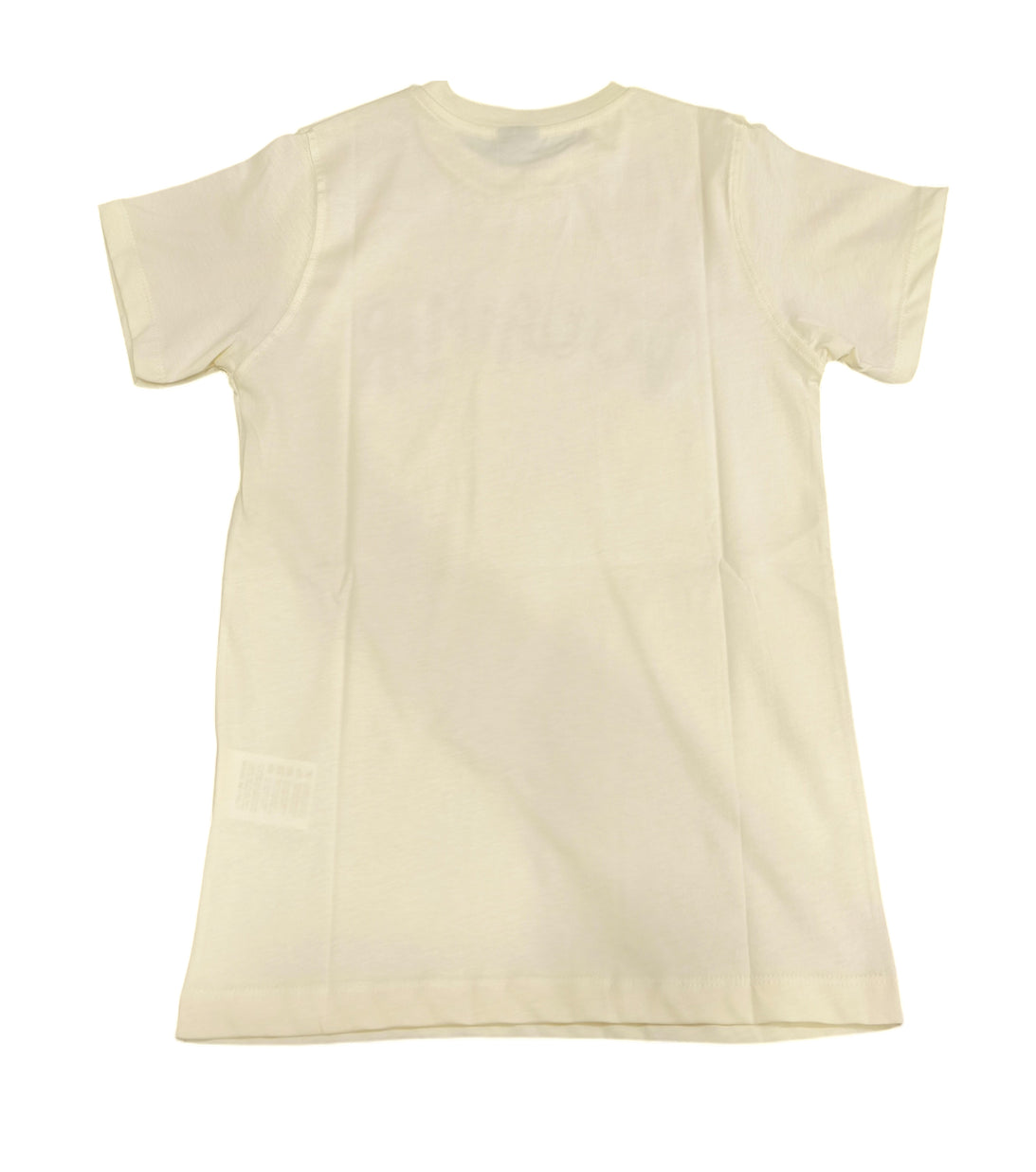 t-shirt disclaimer