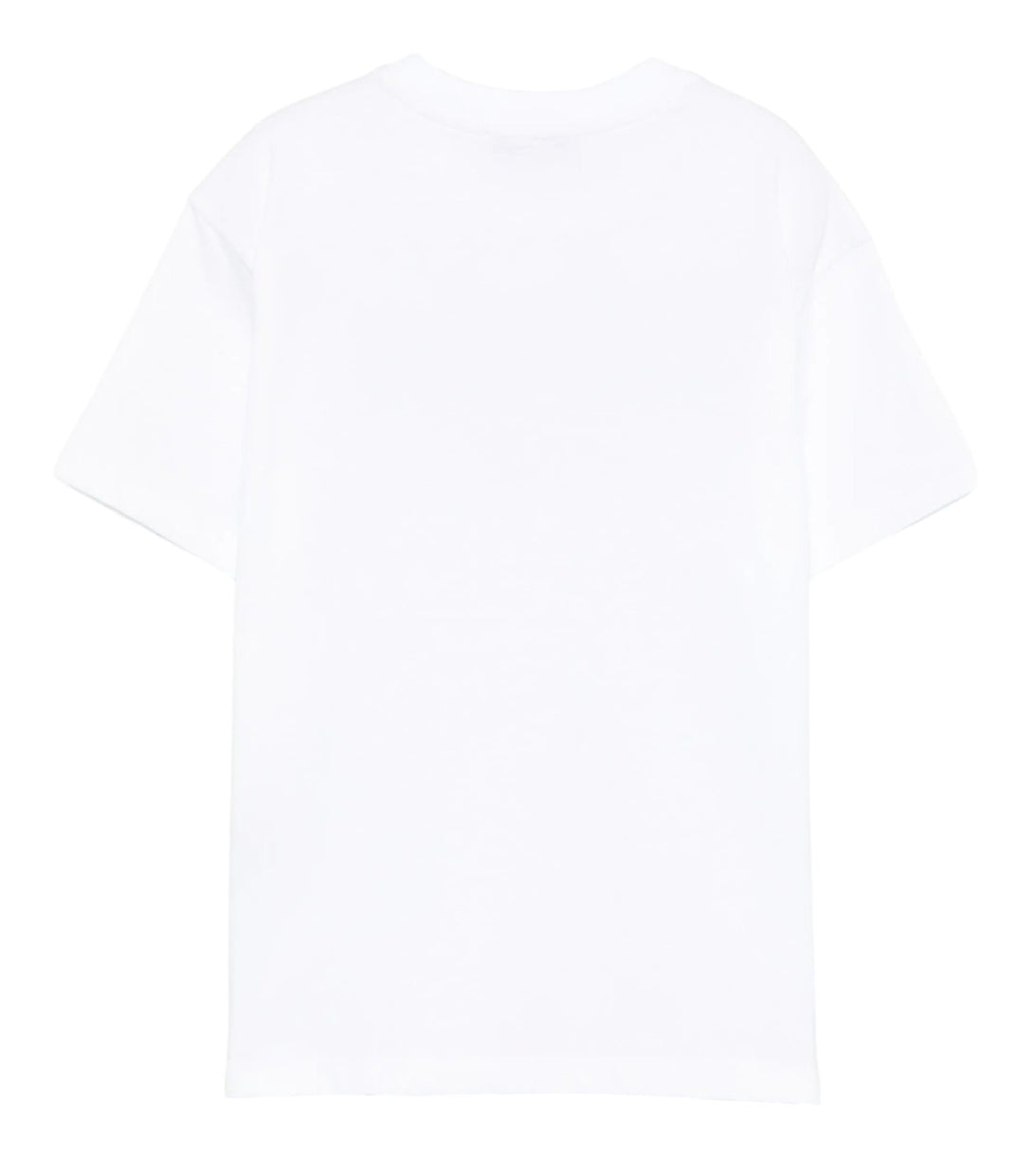 t-shirts  msgm