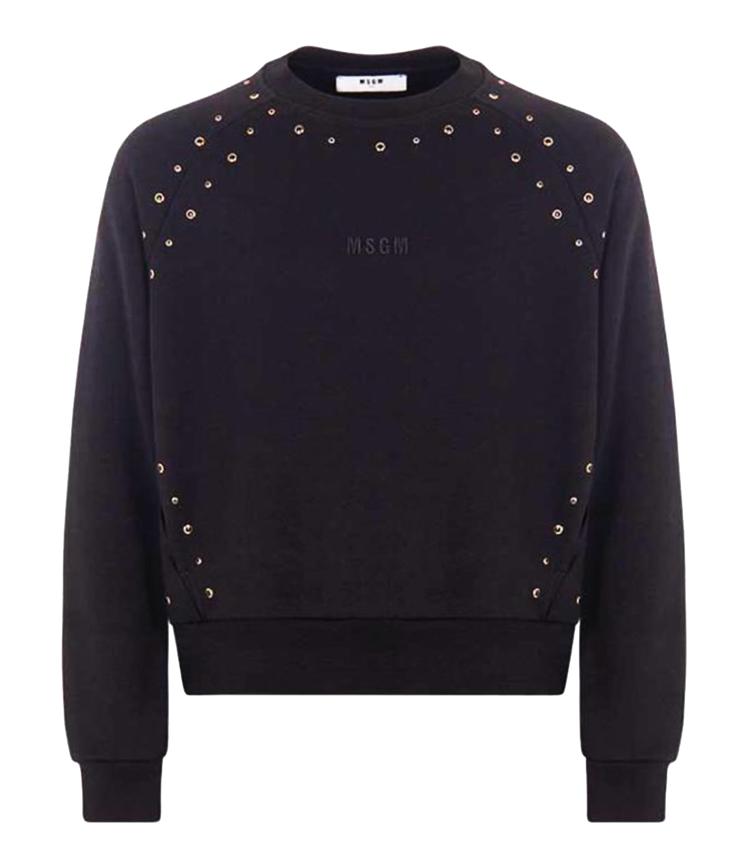 fepa borchie msgm