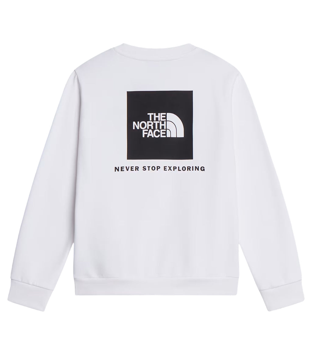 THE NORTH FACE | Felpa Evolution Box NSE