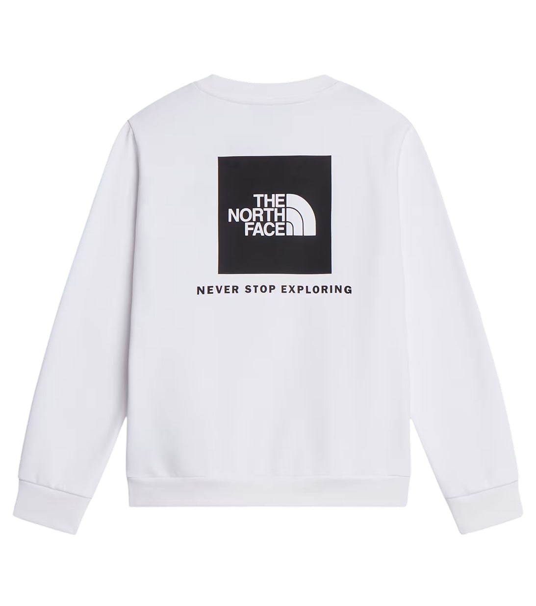 THE NORTH FACE | Felpa Evolution Box NSE