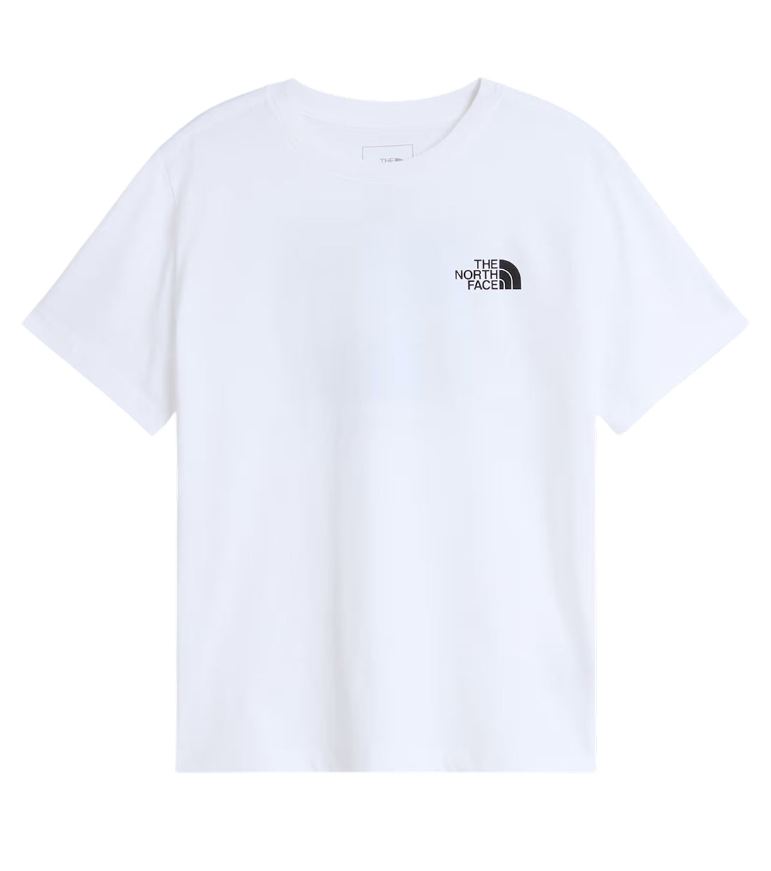 THE NORTH FACE | T-shirt Evolution Box NSE