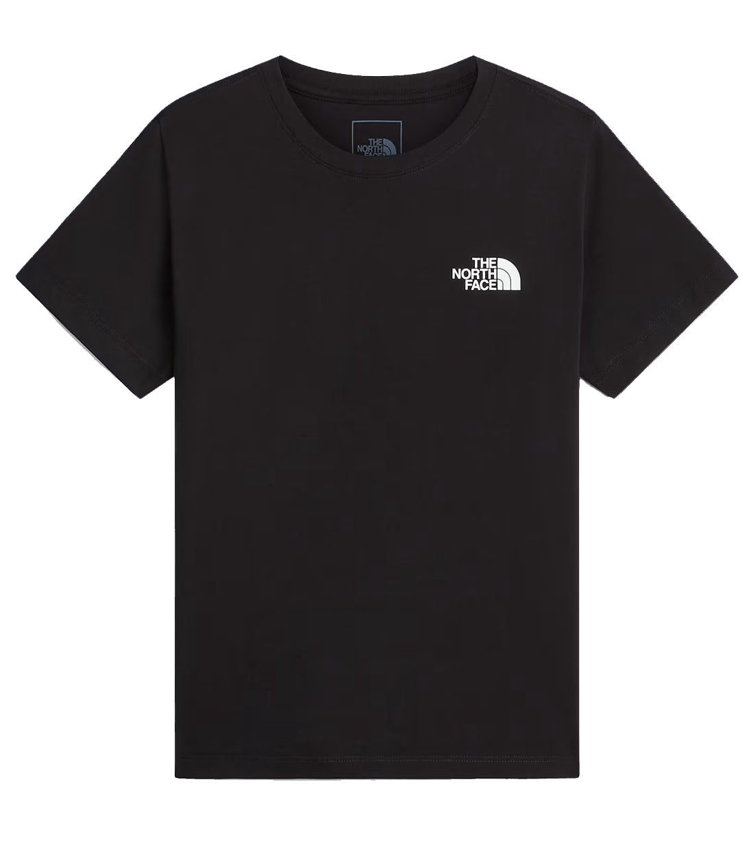 THE NORTH FACE | T-shirt Evolution Box NSE