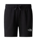 THE NORTH FACE - Teen Simple Dome LT