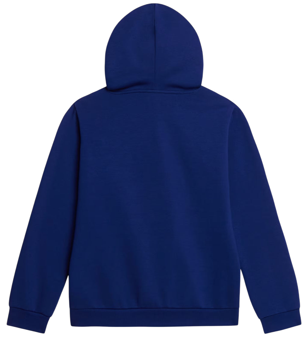 THE NORTH FACE | Felpa con cappuccio Evolution Simple Dome