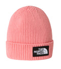 THE NORTH FACE | Berretto con risvolto TNF Logo Box