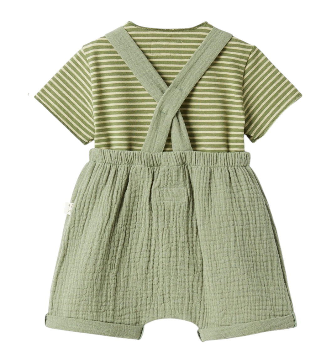 salopette verde teddy & Minou