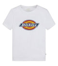 t-shirt logo dickies