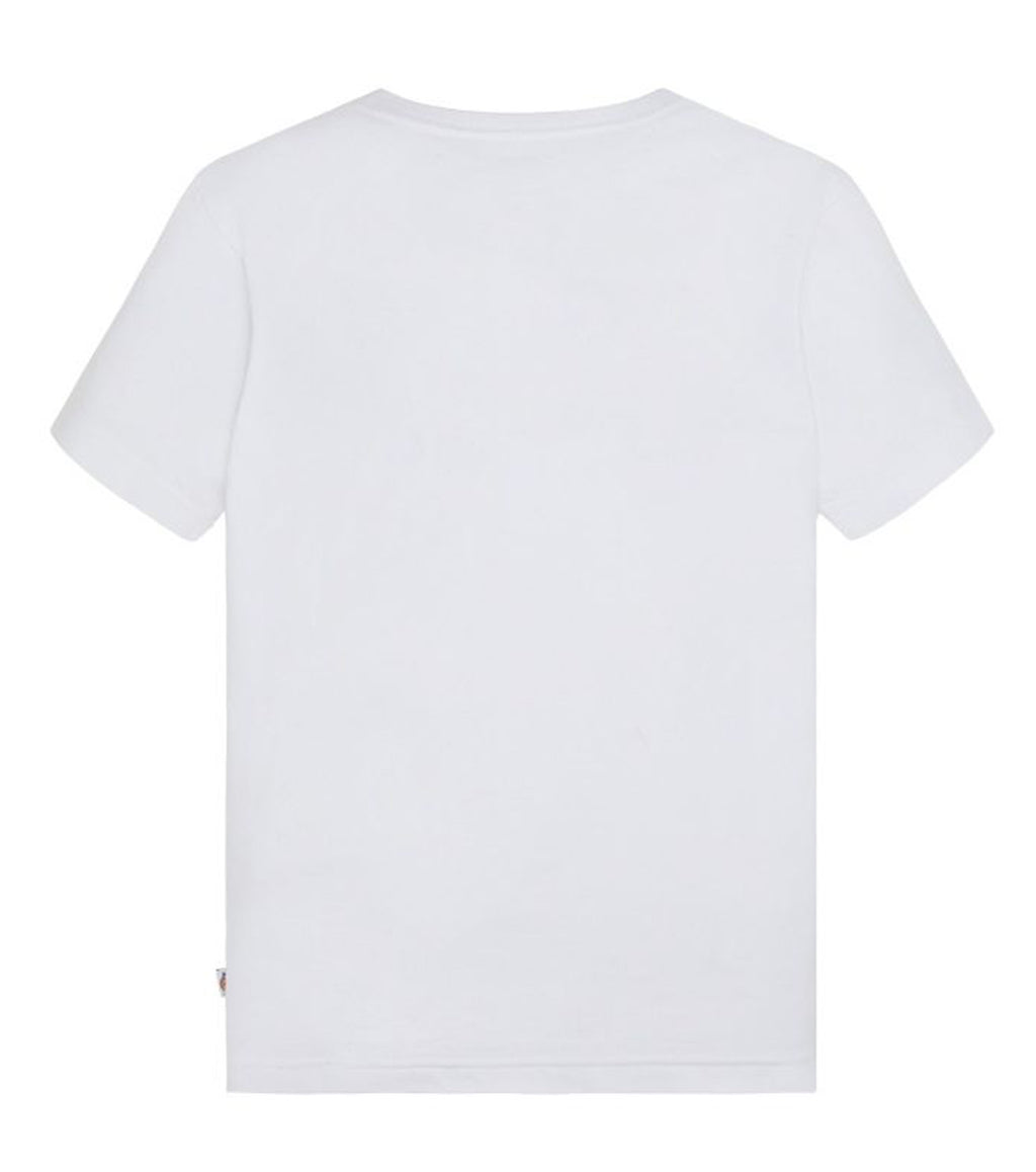 t-shirt logo dickies