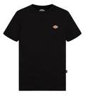 T-SHIRT LOGO BASIC DICKIES